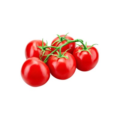 Rajčica Grapolo