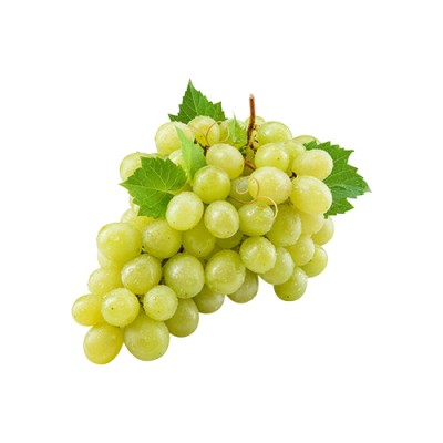 Grožđe bijelo